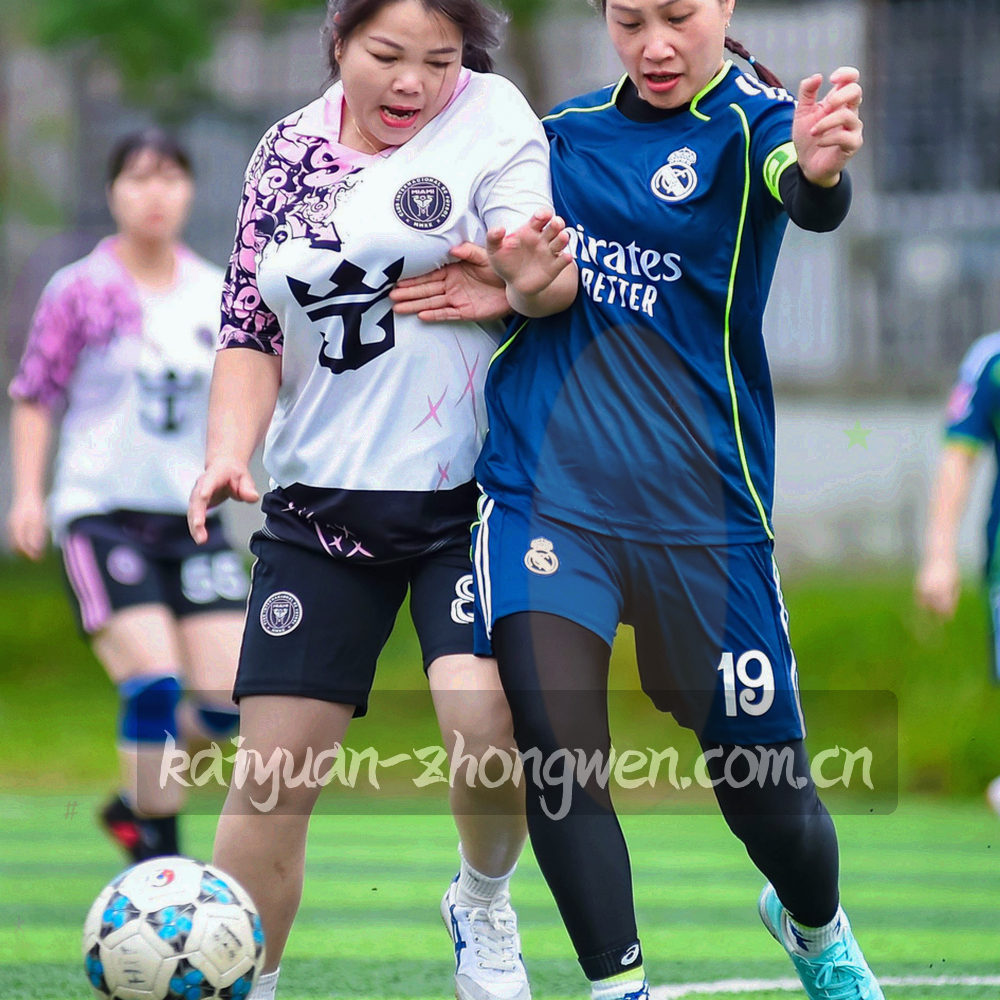 方形印章纹理，内含抽象编码线条，示意站点备案编号的登记形态